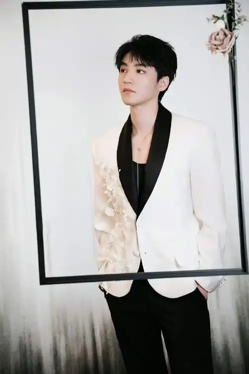 王俊凯工作室出图,画框中的忧郁少年  没有技巧   24k纯硬帅