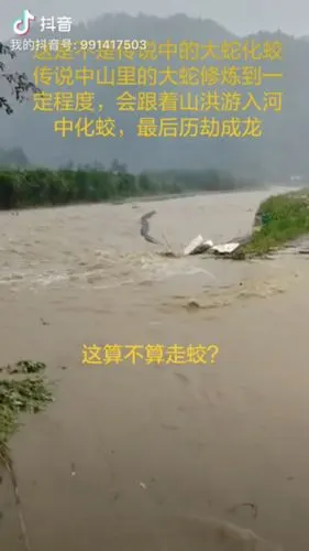 走蛟? _ 中国灵异网