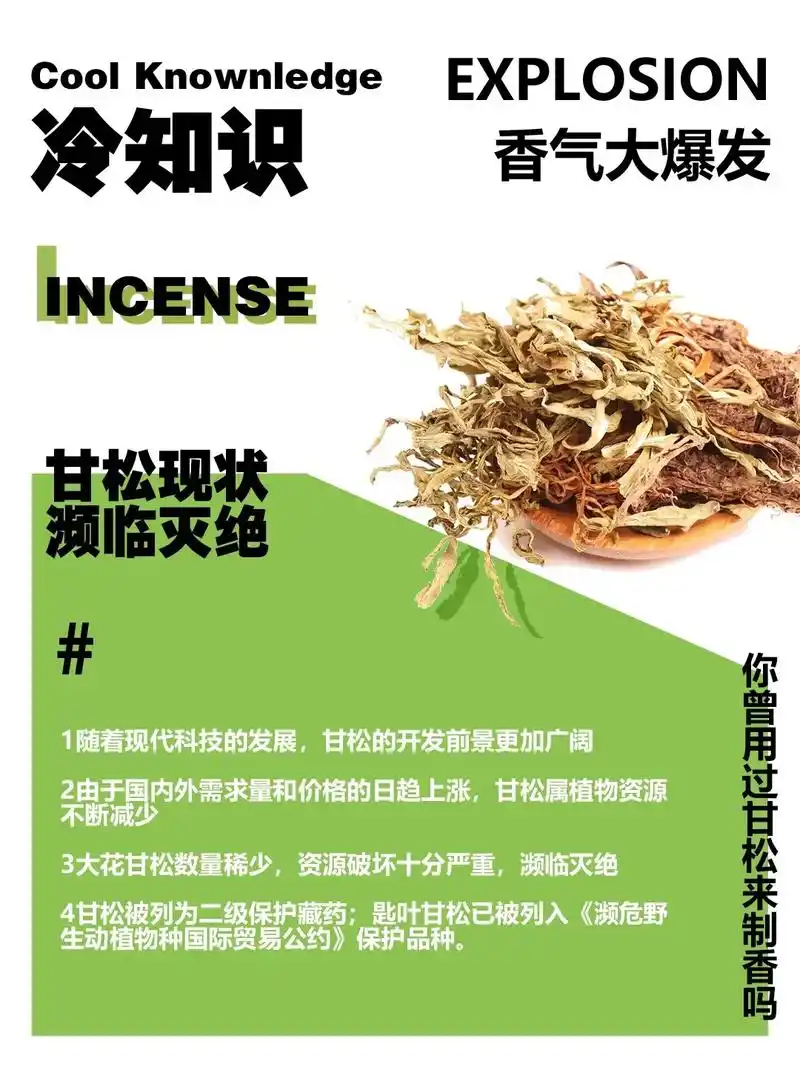 你知道甘松还有这些功能用法吗|香气大爆发甘松生于海拔3500 - 抖音