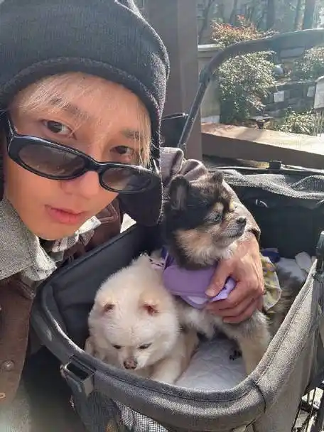 情诗中字】231208 艺声微博突袭直播完整版  (翻译: 雪梨  字幕: 小熊