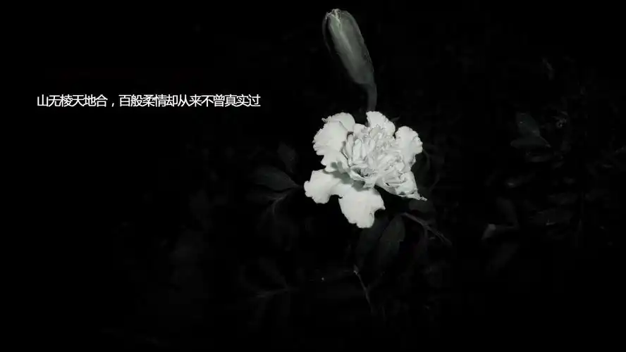 身心疲惫的心情说说