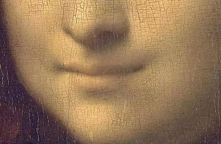 话说,蒙娜丽莎穿的倒底是不是丧服!