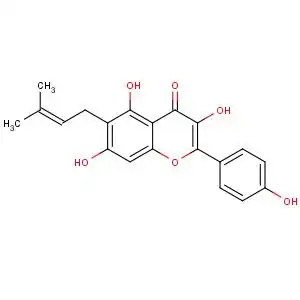 60197-60-6 甘草黄酮醇