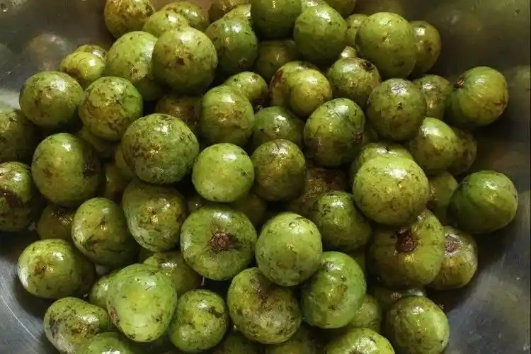 银稔九月的思念