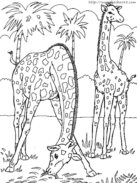 动物园简笔画 动物园简笔画图片大全