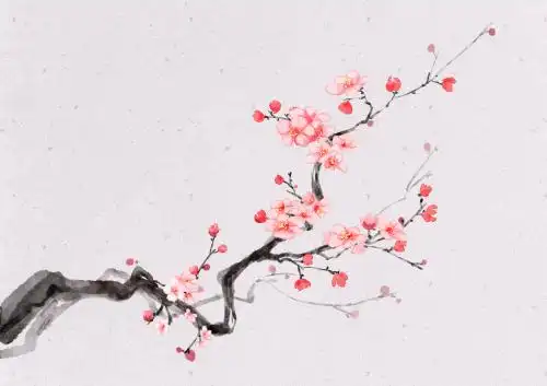 古风梅花插画 古风