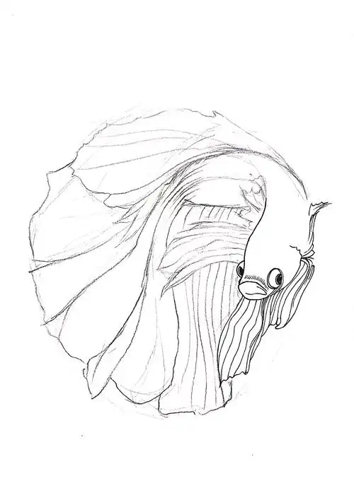 【黑白动物绘】斗鱼 - 简书