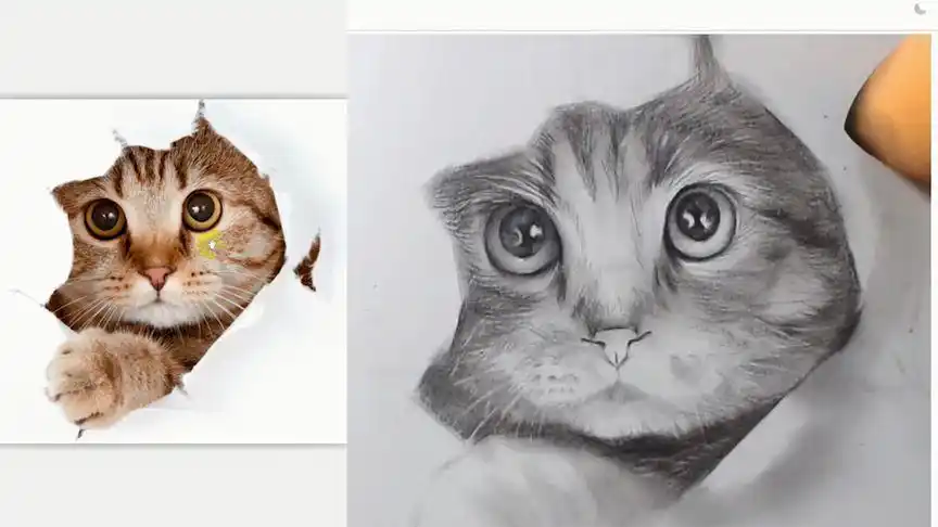 可爱萌萌哒的小猫咪,美院大咖在线教你刻画毛发!