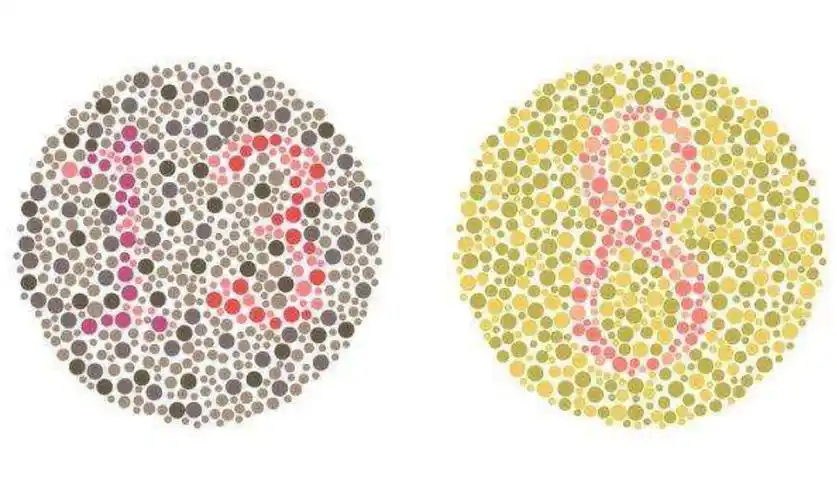 考驾照的6张色盲检测图,若看不清第5张上的数字,基本就是色盲