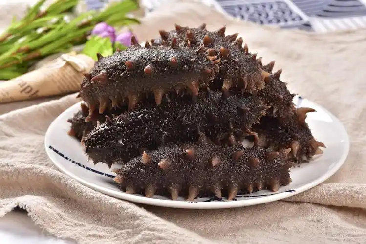 母亲"白菜价"买回原价八千一斤的海参,儿子起疑拿去鉴定!