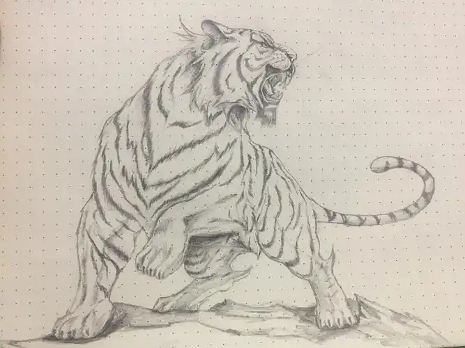 心有猛虎老虎一枚