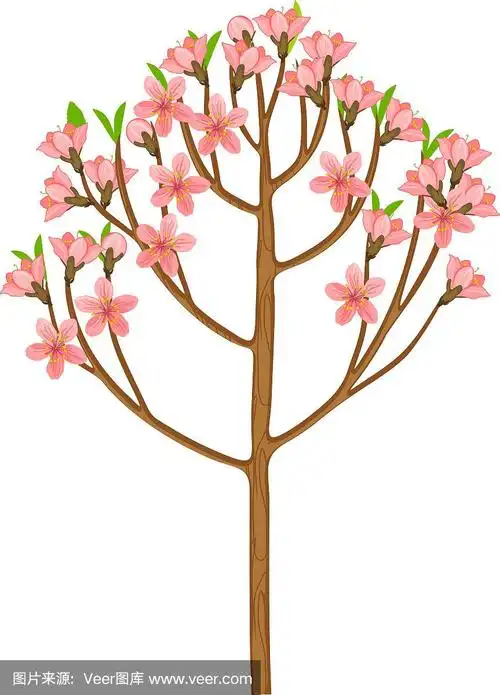 卡通开花桃树与粉红色的花孤立在白色的背景