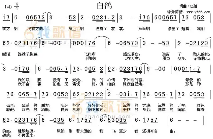 白鸽_白鸽简谱_白鸽吉他谱_钢琴谱-查字典简谱网