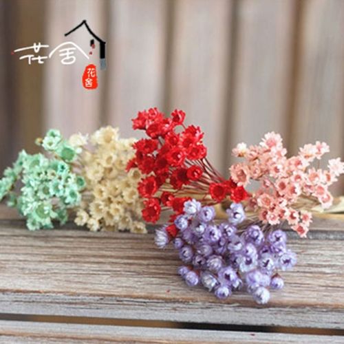巴西小星花 干花小雏菊天然干花果冻口红小干花 厂家直销干花花卉