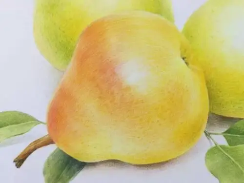 彩铅教程好吃的香梨来三只