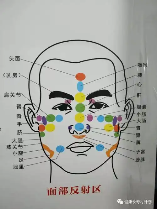 印堂小人全息图算命与诊断治病一图三用