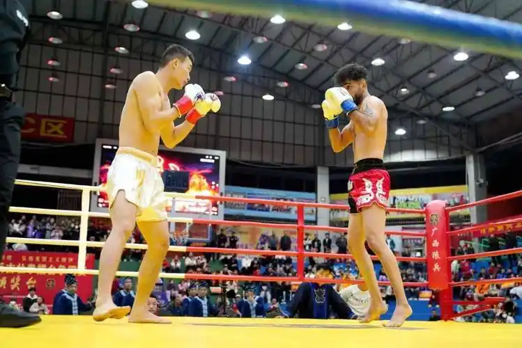 首届广西狼兵古壮拳擂台争霸赛在河池市东兰县精彩上演_革命_中国