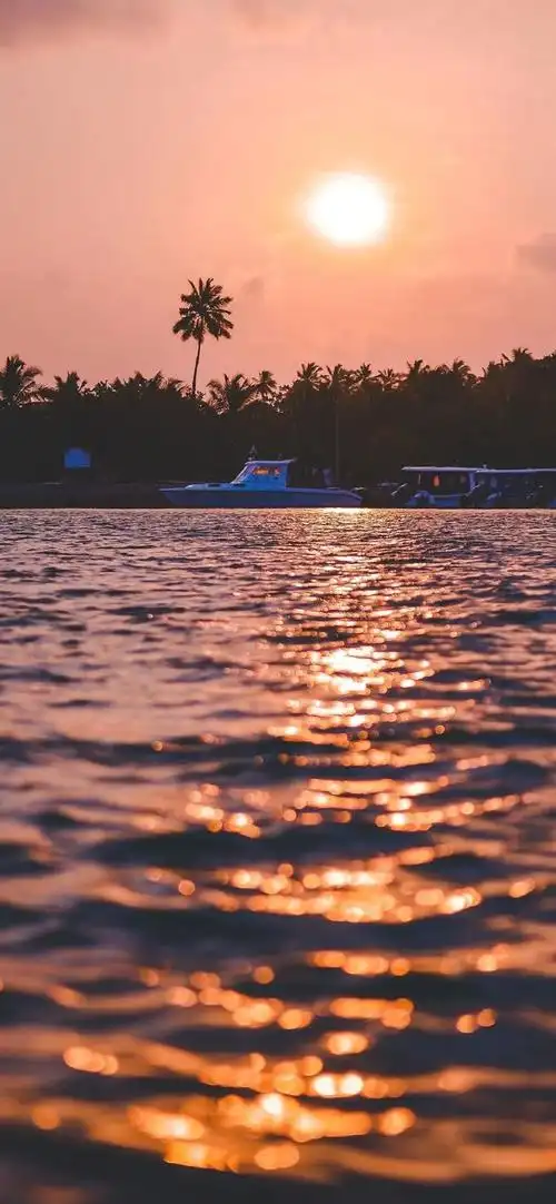 潮流壁纸精选 | 2021-08-31