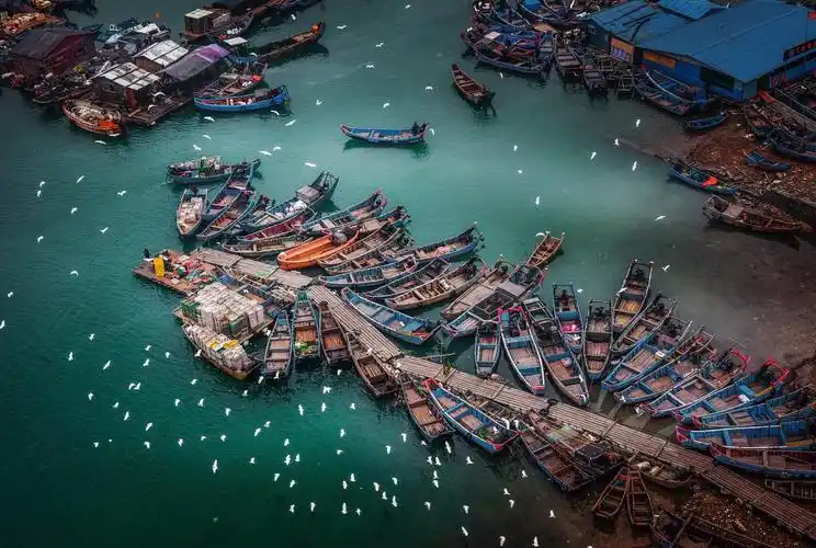 大美渔村平安渔业中国渔业摄影展亮相第十二届中国摄影艺术节