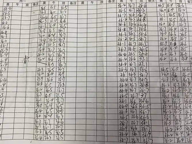 我们的体温记录表