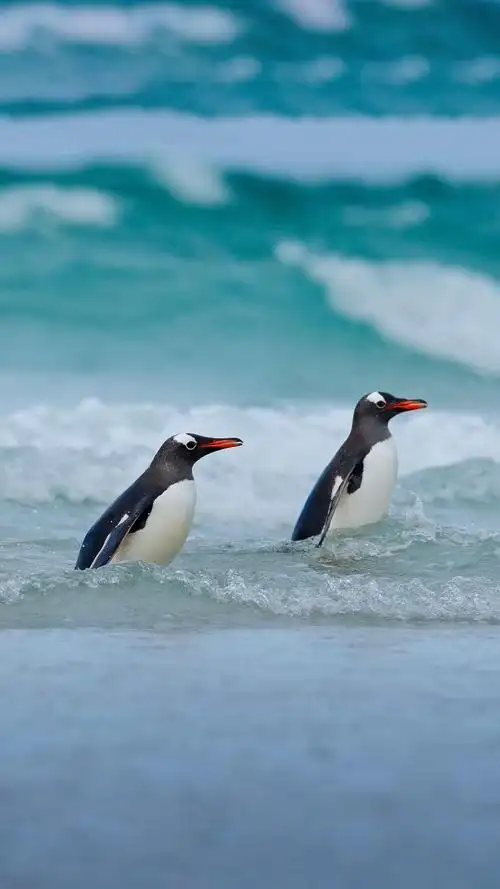 沐浴春风,走进大自然,享受生活