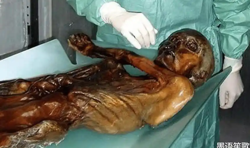 原创一对夫妻登山发现一具赤裸干瘪的尸体吓坏报警后一片哗然