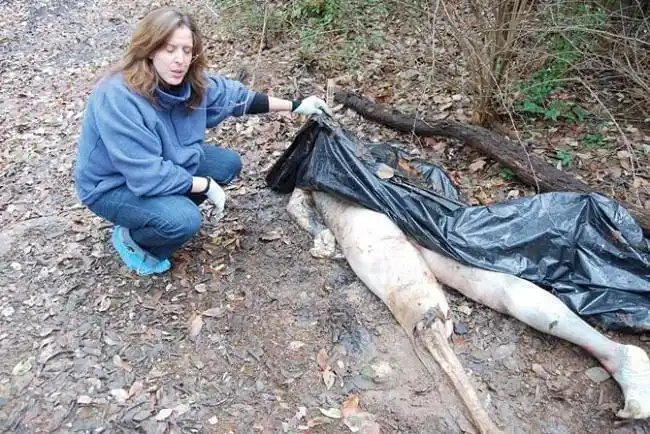 世界上最恐怖的五大尸体农场看着都瘆的慌