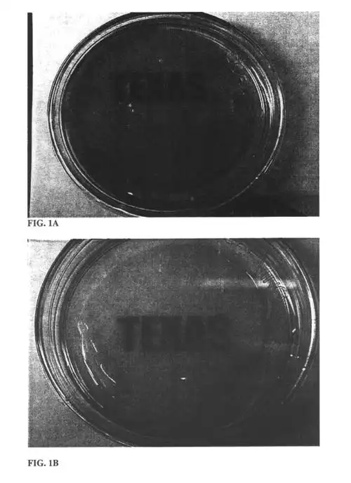 pericardial anti-adhesion patch