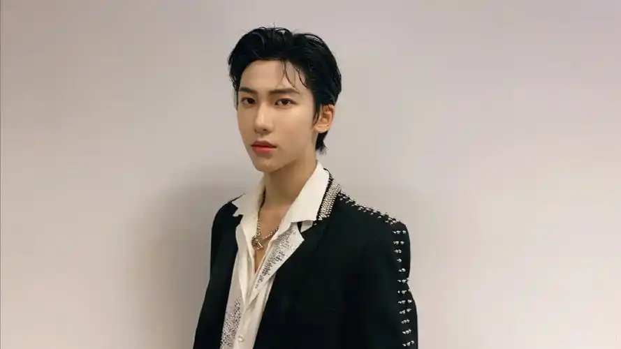 丁泽仁618超级秀帅气图片