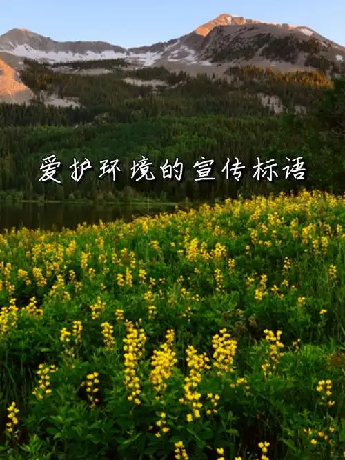爱护环境的宣传标语