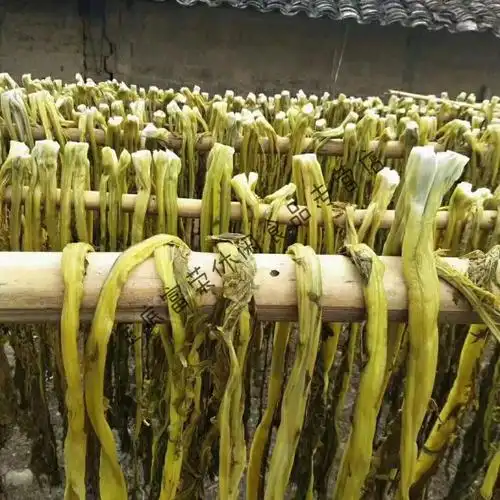 农家客家人纯手工自制擦菜酸菜鱼腌菜咸菜下饭菜江西赣南寻乌特产