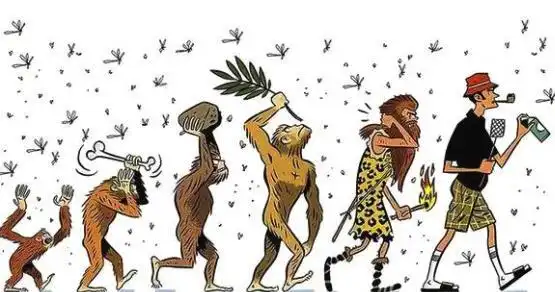 14张图片看人类进化,人类进化全过程图片