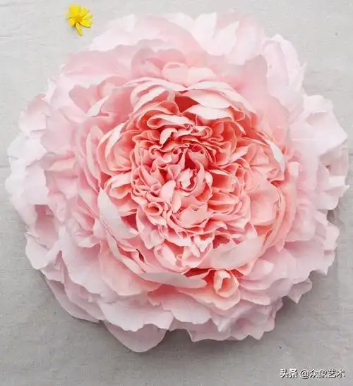 皱纹纸牡丹花的做法,皱纹纸牡丹花制作方法简单(以假乱真皱纹纸手工花