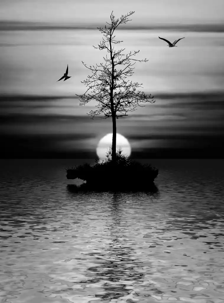 黑白色的景观,黑色白色风景与湖