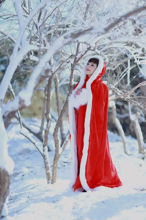 又是雪花纷飞满天宇 对你的思念重又浮起 还记得那个飘雪冬季 你走进