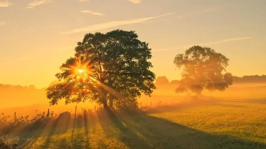 秋天阳光雾田野壁纸