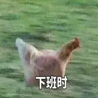 公鸡奔跑表情包带字【点击鼠标右键下载】