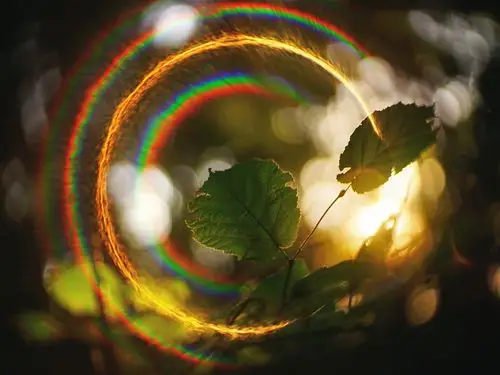 阳光晕,绿叶,彩虹 640x1136 iphone 5/5s/5c/se 壁纸,图片,背景,照片