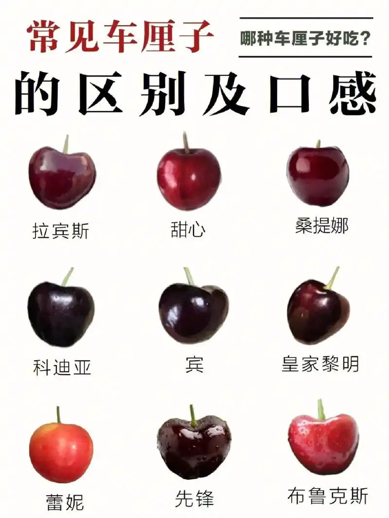 又到了吃车厘子的季节,你会很好的区分他们么?教 - 抖音