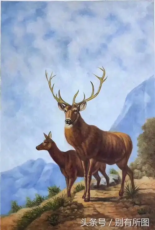 国画油画动物鹿画,寓意一路(鹿)发,寓意美好的中国传统动物