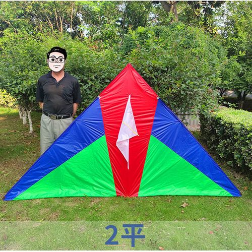 追风者风筝软伞布碳杆大型微风三角风筝夜光布成人儿童易飞初学者