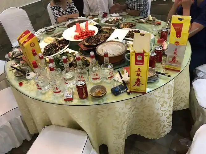 五粮春之成都大熊猫基地之旅! (3 )