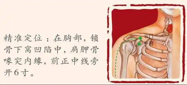 二,按摩云门穴.云门穴:胸前壁外上方,肩胛骨喙突上方,锁骨下窝凹陷处.