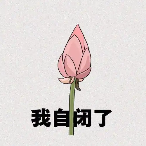 我自闭了 _ 表情包[图片专辑] _ 图片网