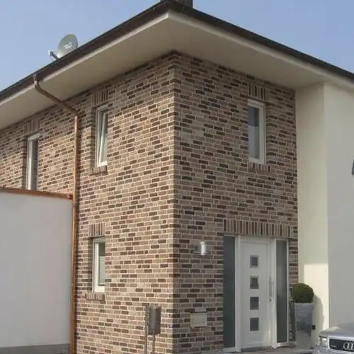 黏土砌面砖 / 用于外墙 / 纹理 / 红色 ariane vandersanden group