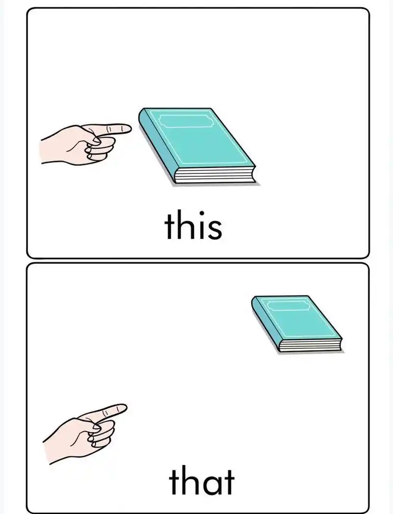 小学初中英语语法|指示代词 this that 相信所有英语老师都有同感