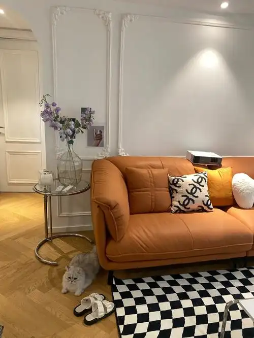 po几张实物给你们安全下车啦搭配我新到的沙发绝了有么有#抱枕