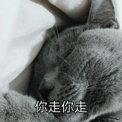 萌宠喵星人你走你走走开呆萌可爱gif动图_动态图_表情包下载_soogif