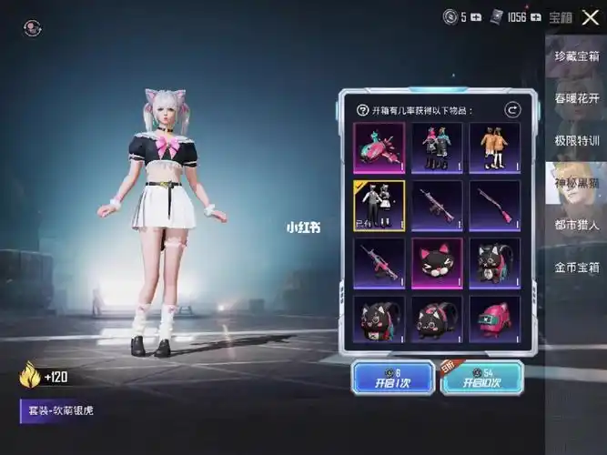 和平精英神秘黑猫