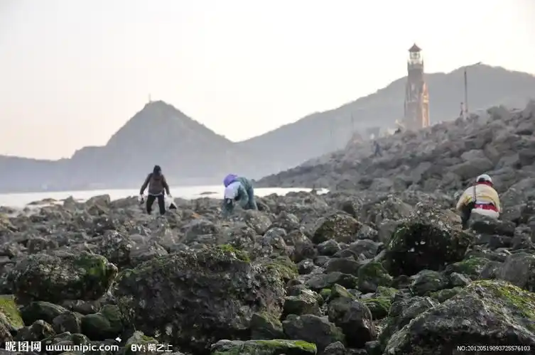 愚人码头赶海人图片[摄影图,jpg]